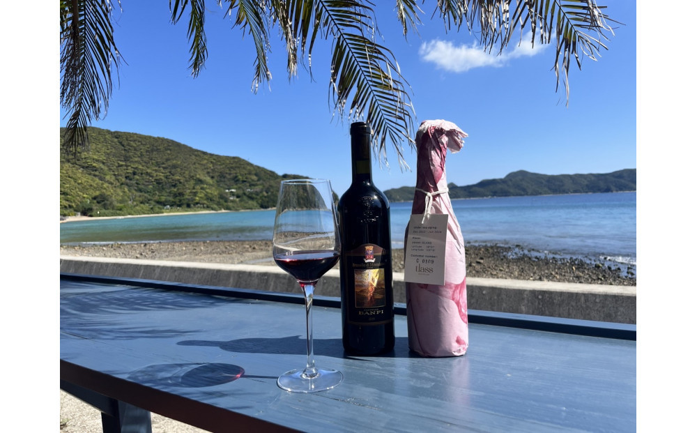 tlass&nbsp;SEA&nbsp;CELLAR&nbsp;-2025&nbsp;2nd&nbsp;Edition-&nbsp;海底熟成前後飲み比べ赤ワイン&nbsp;750ml×2本