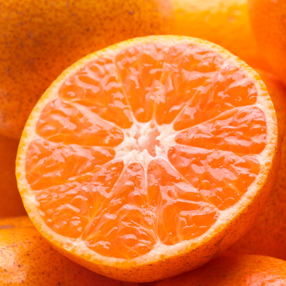 家庭用&nbsp;有田みかん定期便&nbsp;約2.5kg&nbsp;全3回&nbsp;10月・11月・12月発送