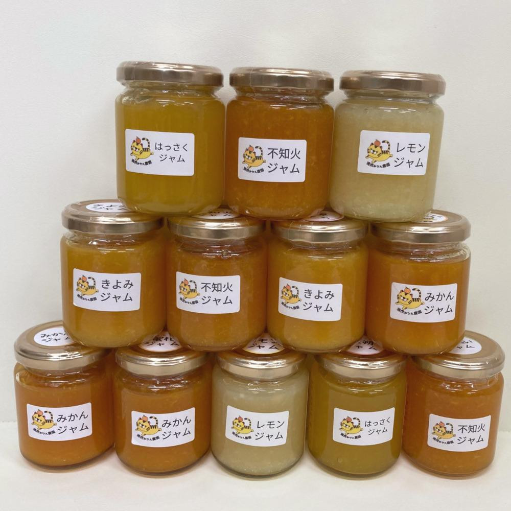 数量限定！店主にお任せ 無添加 柑橘ジャム140g×3個