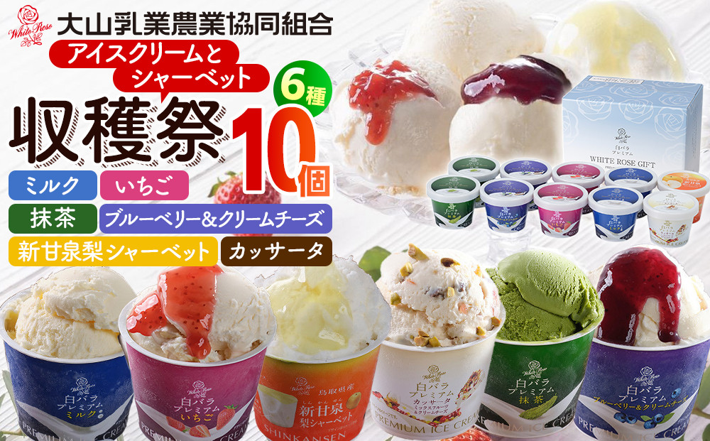 収穫祭10個入【シャーベット&nbsp;アイスクリーム&nbsp;生乳&nbsp;クリーム&nbsp;ミルク&nbsp;抹茶&nbsp;いちご&nbsp;ミックスフルーツ&nbsp;クリームチーズ&nbsp;チーズ&nbsp;新甘泉&nbsp;梨&nbsp;ブルーベリー&nbsp;アイス&nbsp;おやつ&nbsp;セット商品&nbsp;セット&nbsp;大山&nbsp;乳業&nbsp;デザート&nbsp;鳥取県&nbsp;北栄町&nbsp;おすすめ&nbsp;人気】