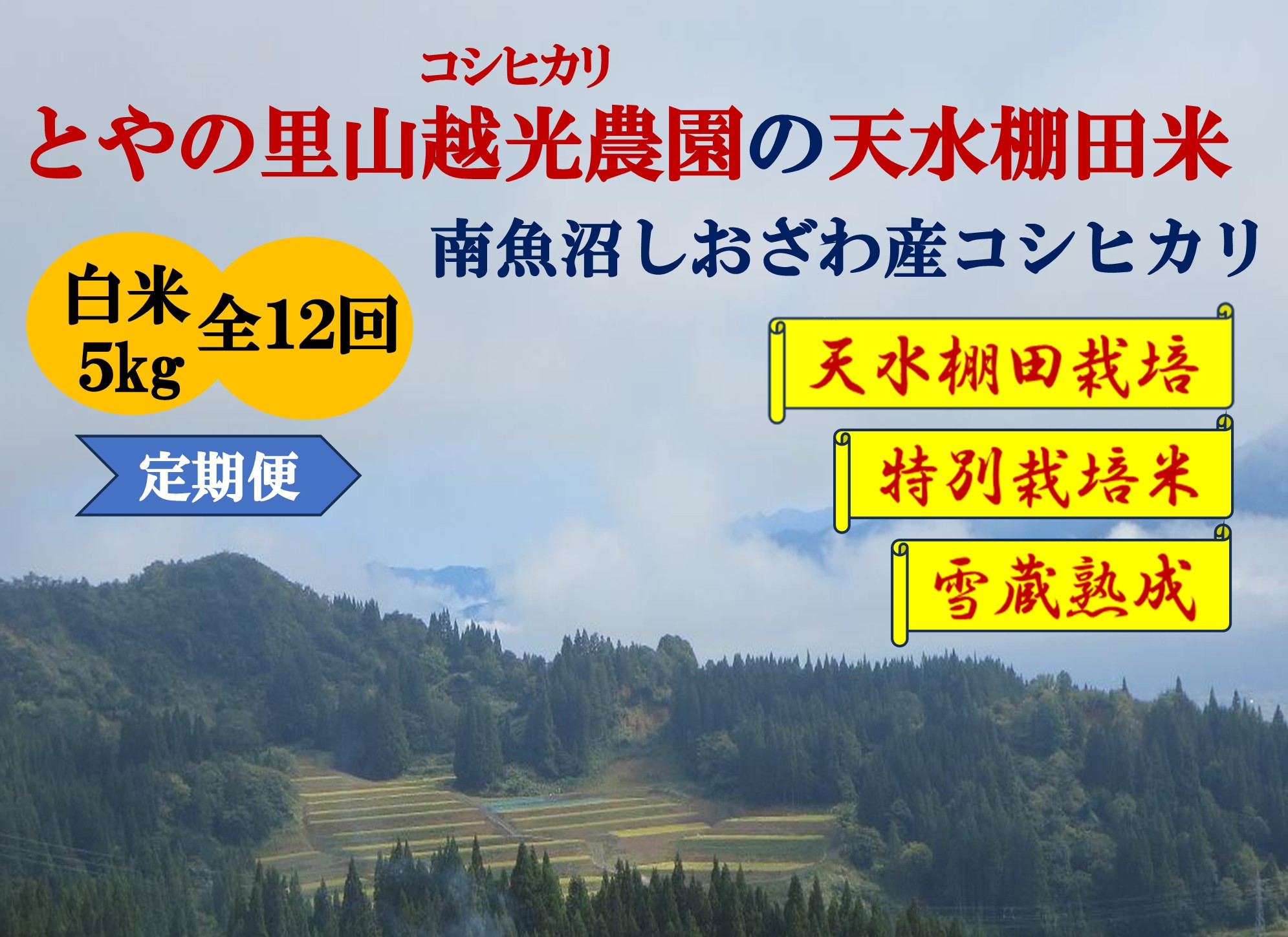 令和7年産定期便【とやの里山越光農園の天水棚田米】特別栽培米雪蔵熟成しおざわ産コシヒカリ　精米5kg全12回　【2025年12月下旬より発送】