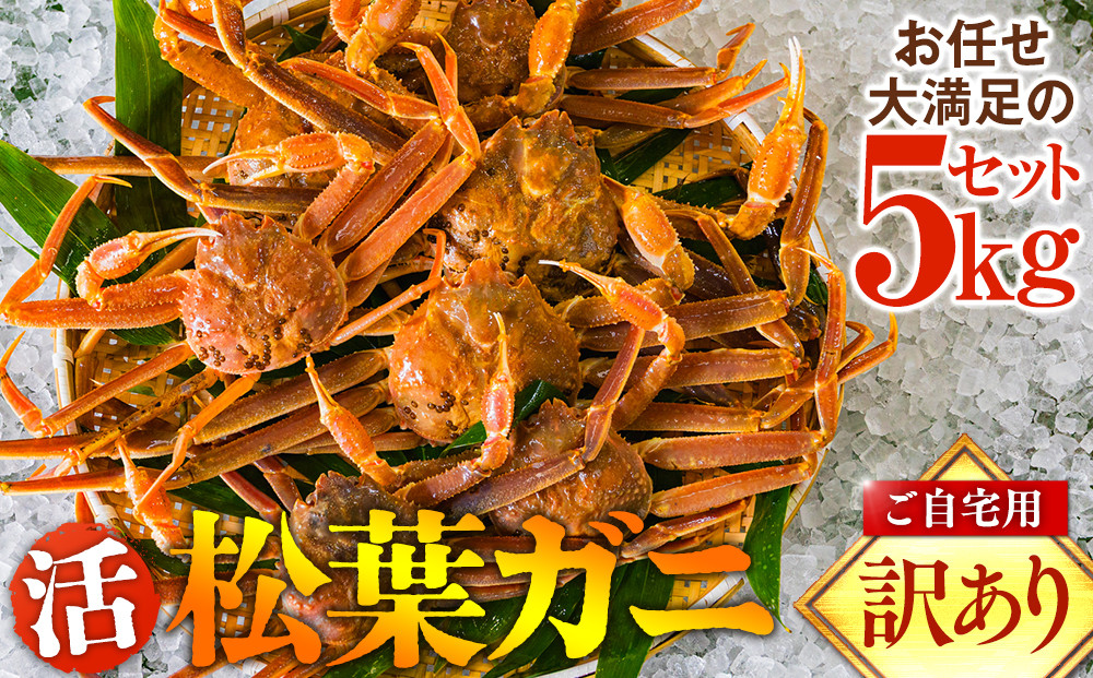 662.ご自宅用　活訳あり松葉ガニ　お任せ大満足の5kgセット【着日指定不可】※2026年11月上旬～2027年3月下旬頃に順次発送予定