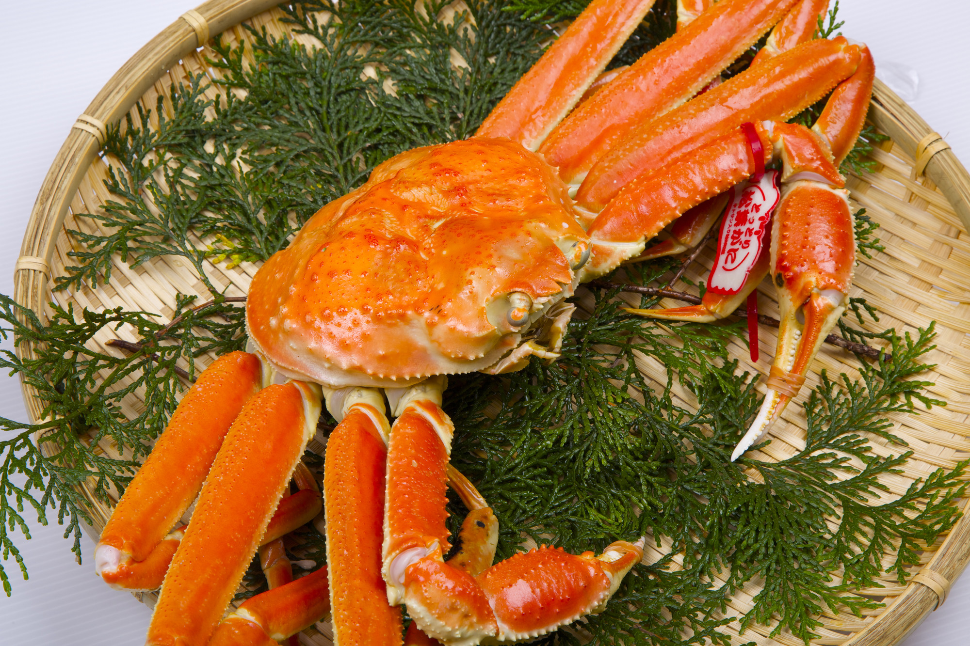 1033.鳥取県産　タグ付きボイル松葉ガニと活松葉ガニの欲張りフルコース中2枚セット　(700g前後)　※2025年11月上旬～2026年3月下旬頃に順次発送予定