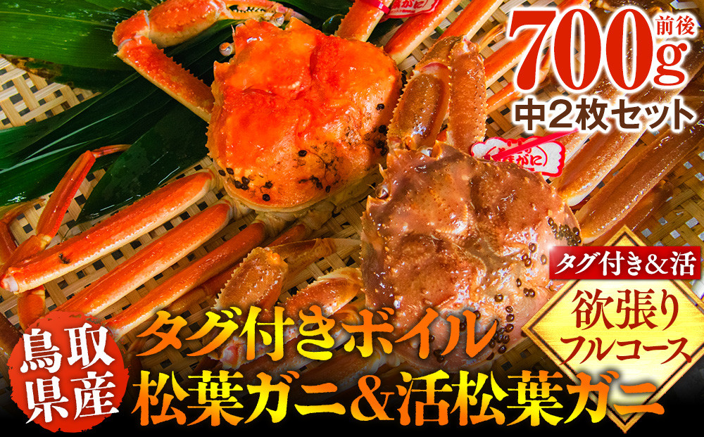 1033.鳥取県産　タグ付きボイル松葉ガニと活松葉ガニの欲張りフルコース中2枚セット　(700g前後)　※2026年11月上旬～2027年3月下旬頃に順次発送予定