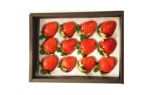 【先行予約】三重県鈴鹿市産&nbsp;いちご&nbsp;とちおとめ&nbsp;12粒