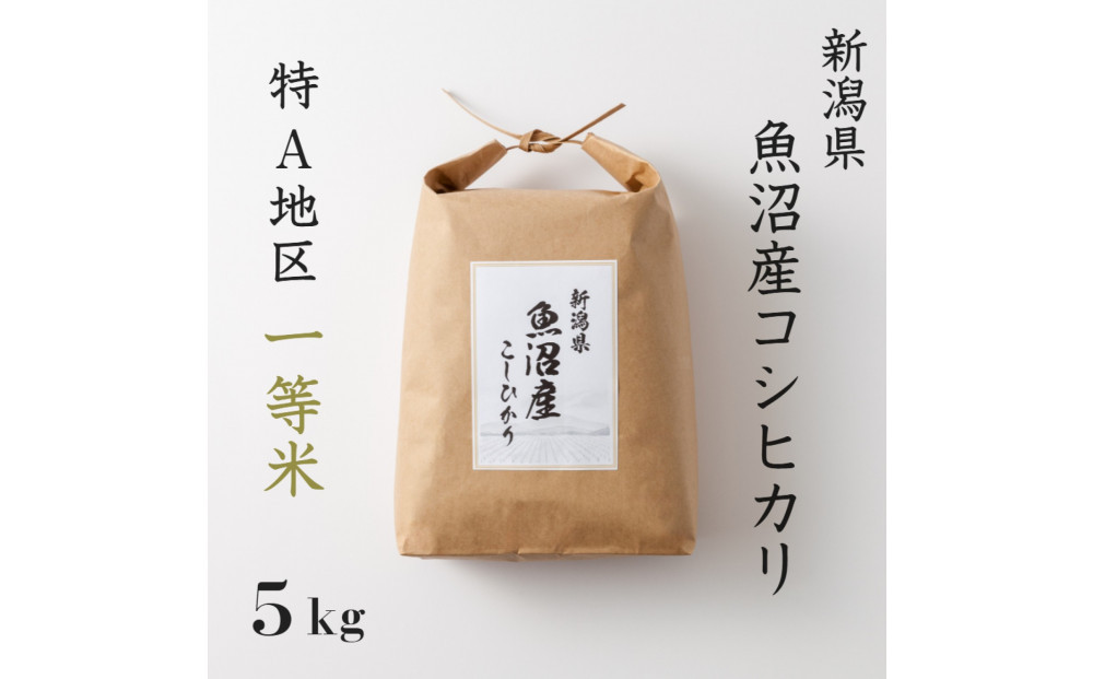 《&nbsp;特A&nbsp;一等米&nbsp;》&nbsp;令和7年産&nbsp;魚沼産&nbsp;コシヒカリ&nbsp;5kg新潟　新潟県　こしひかり　魚沼　特A地区　5キロ