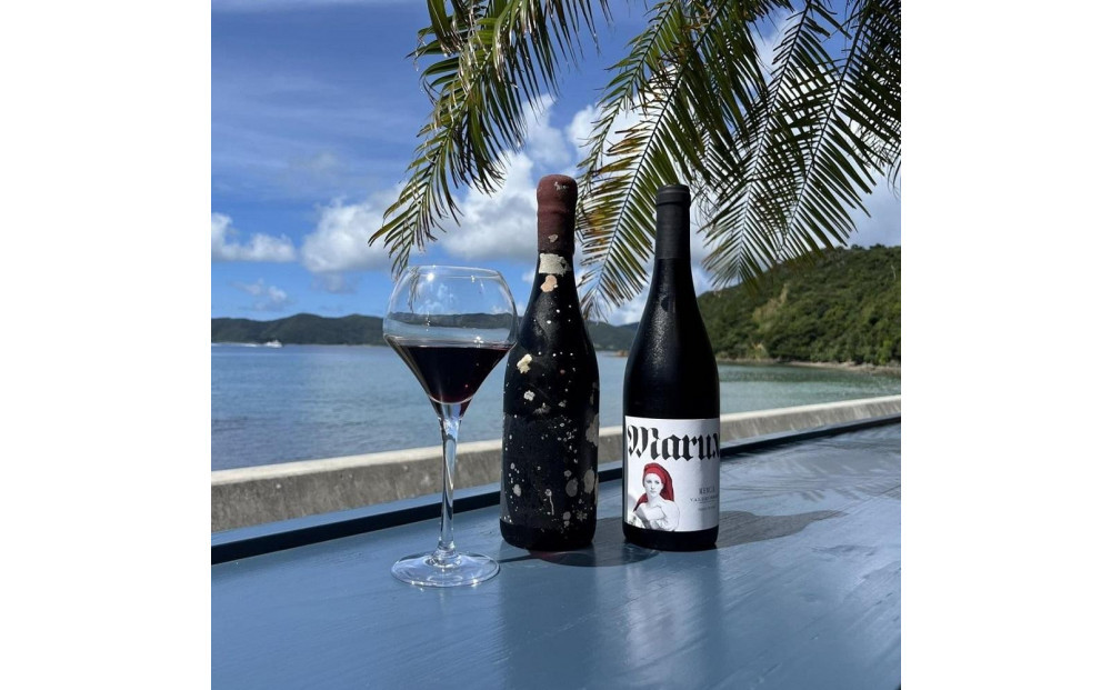 tlass SEA CELLAR -2024 1st Edition- 海底熟成前後飲み比べ赤ワイン 750ml×2本