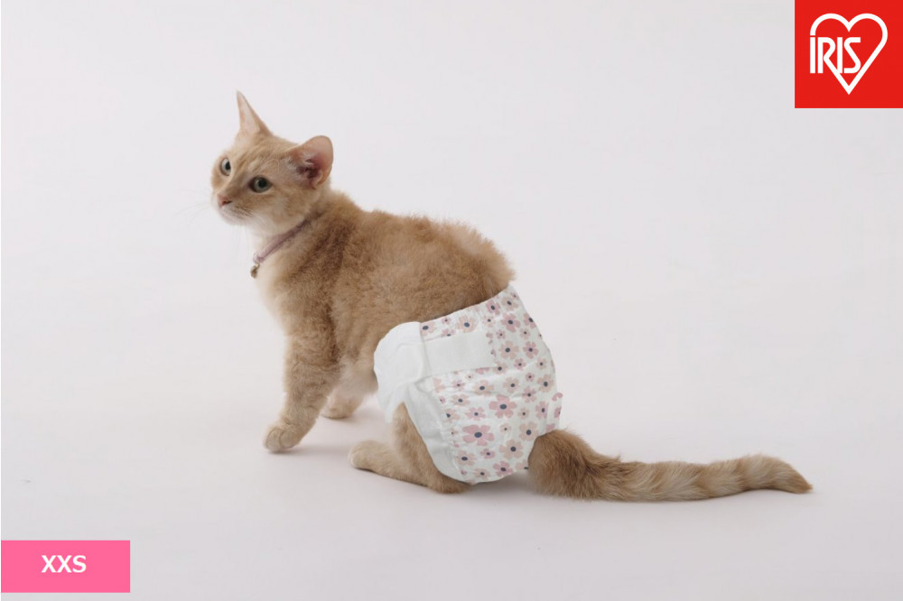 【42枚入り×6袋】ペット用おむつ　ピタフィット　ＸＸＳ　４２枚入　女の子用　　NPD-XXS42