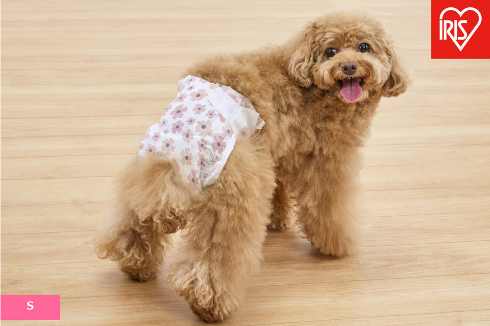 【36枚入り×6袋】ペット用おむつ　ピタフィット　Ｓ　３６枚入　女の子用　　NPD-S36