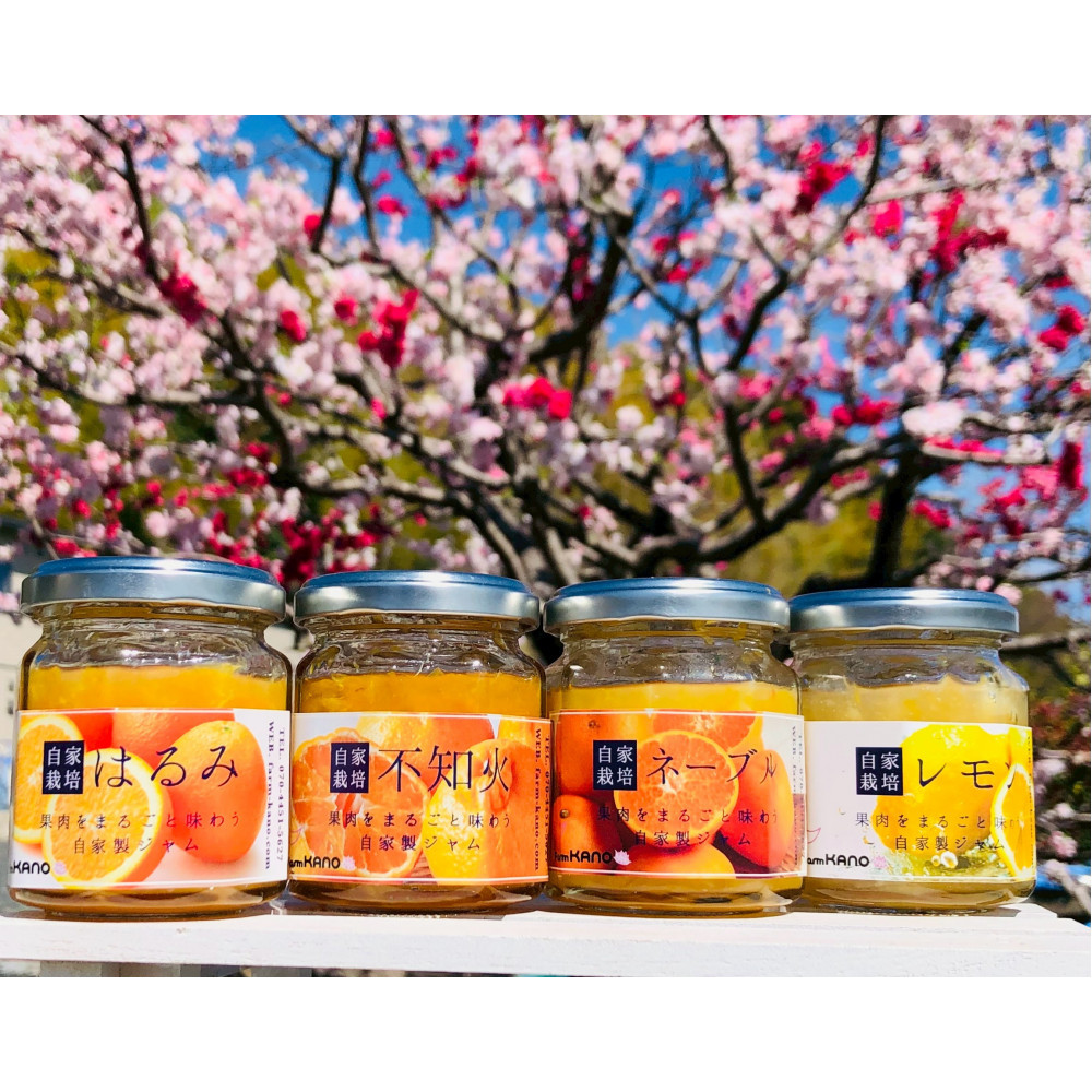 柑橘農家手作り!&nbsp;無添加柑橘ジャム&nbsp;4種食べ比べセット&nbsp;フルーツ&nbsp;柑橘&nbsp;オレンジ◇
