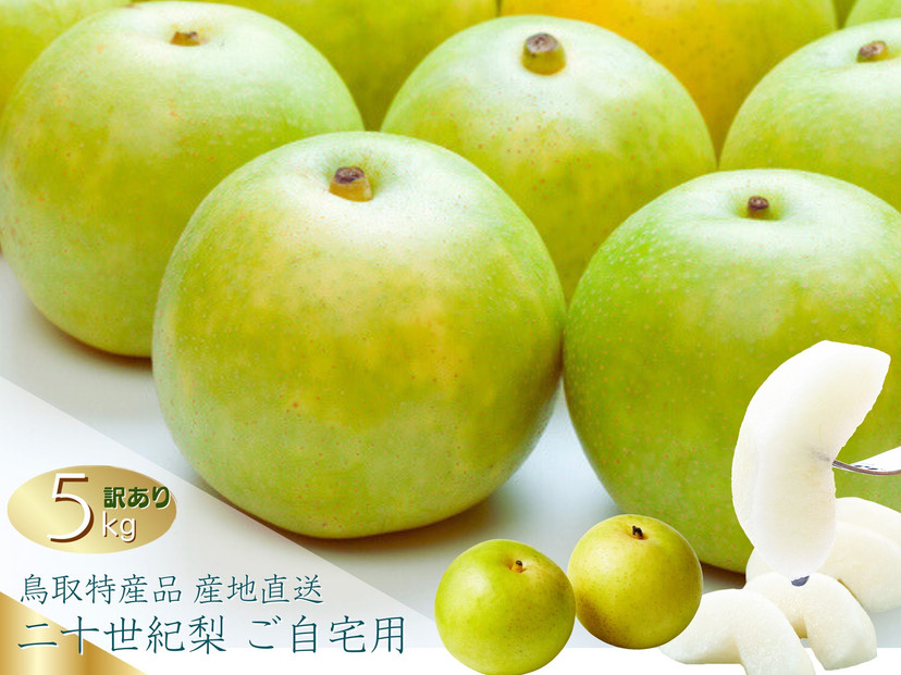 数量限定&nbsp;鳥取県産&nbsp;梨&nbsp;訳あり&nbsp;ご自宅用&nbsp;二十世紀梨&nbsp;5kg