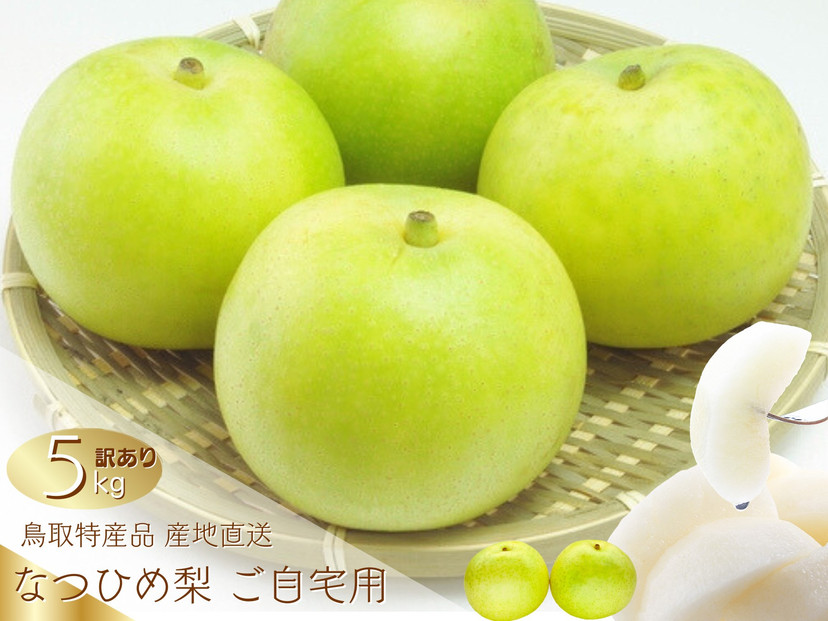 数量限定&nbsp;鳥取県産&nbsp;梨&nbsp;訳あり&nbsp;ご自宅用&nbsp;なつひめ&nbsp;5kg【梨&nbsp;なし&nbsp;ナシ&nbsp;なつひめ&nbsp;青梨&nbsp;赤梨&nbsp;5kg&nbsp;5キロ&nbsp;しゃきしゃき&nbsp;シャキシャキ&nbsp;限定&nbsp;自宅用&nbsp;家庭用&nbsp;甘い&nbsp;さわやか&nbsp;爽やか&nbsp;高品質&nbsp;国産&nbsp;鳥取県産&nbsp;人気&nbsp;おすすめ&nbsp;鳥取県&nbsp;琴浦町&nbsp;送料無料】