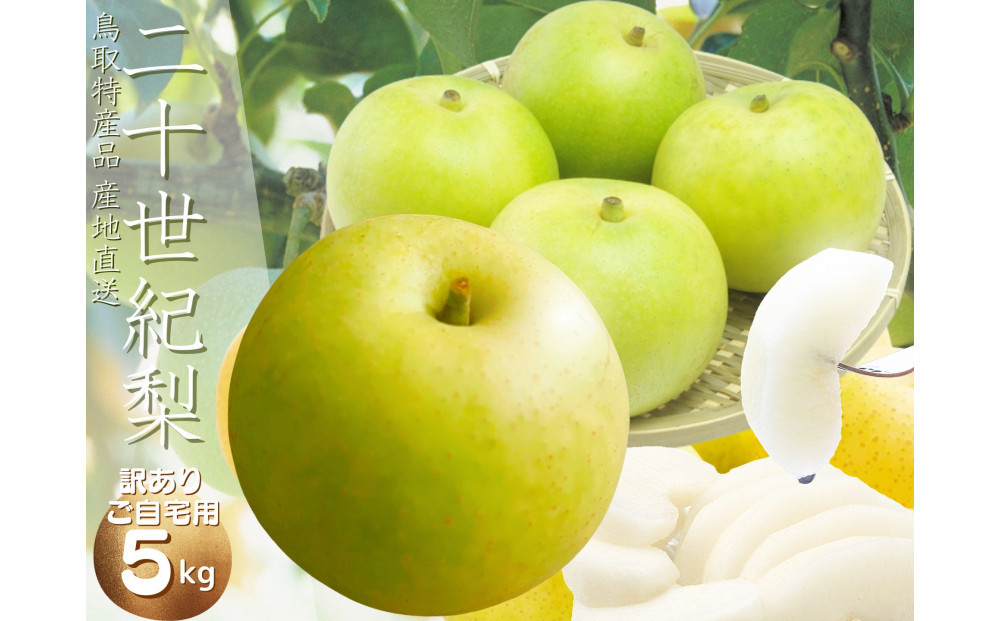※価格変更※【数量限定】鳥取県産&nbsp;梨&nbsp;訳あり&nbsp;ご自宅用&nbsp;二十世紀梨&nbsp;5kg