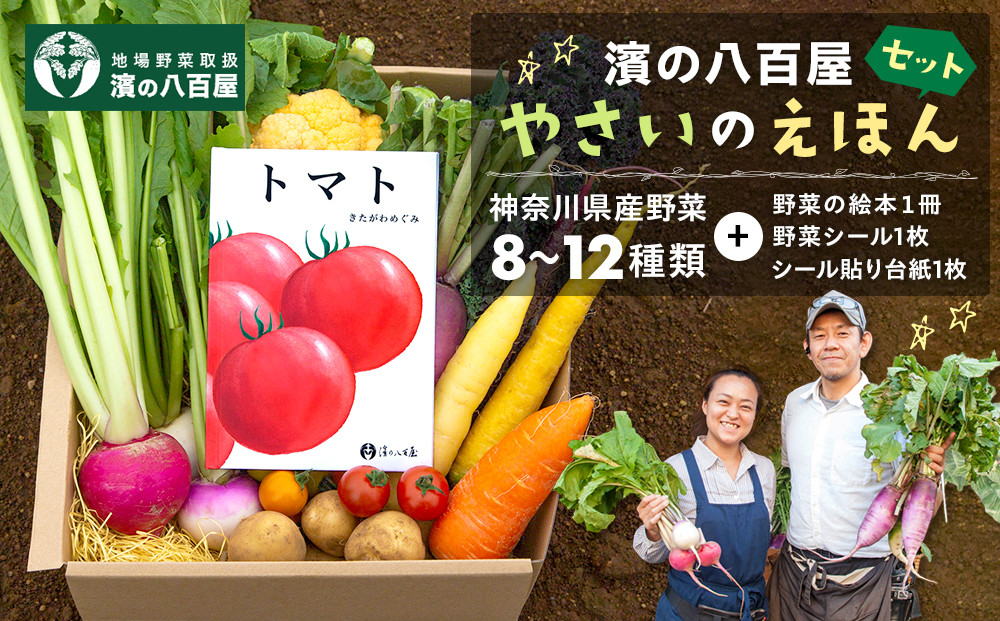 【濱の八百屋】やさいのえほんセット（8～12種類）