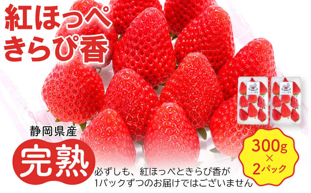 先行受付【静岡県産いちご】完熟紅ほっぺ・きらぴ香2パックセット（300g×2パック）【2026年1月下旬以降発送予定】●