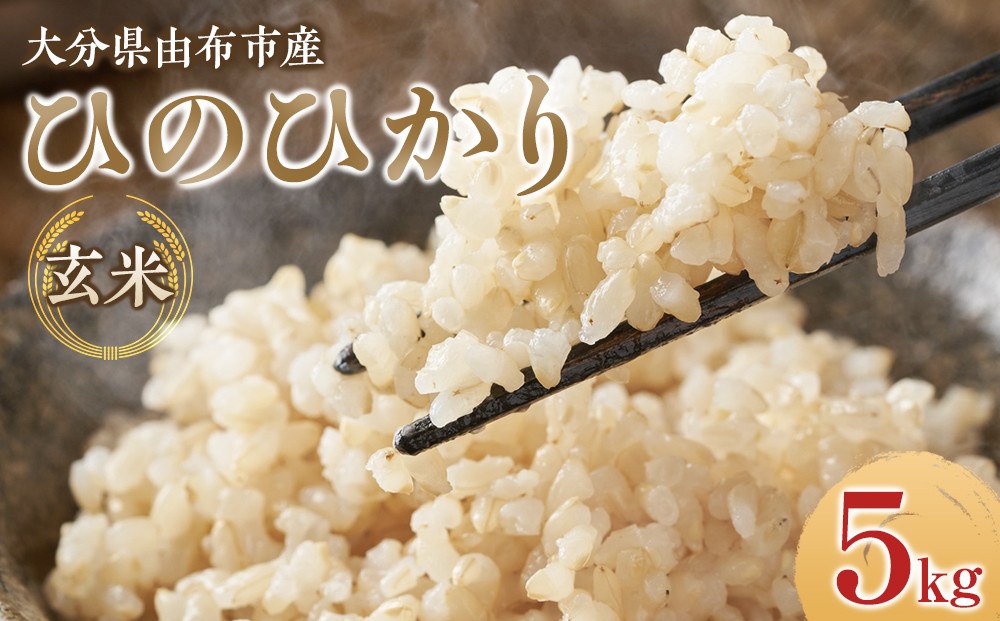 ＼先行予約／【令和7年度産】大分県由布市産&nbsp;ひのひかり（玄米）5kg