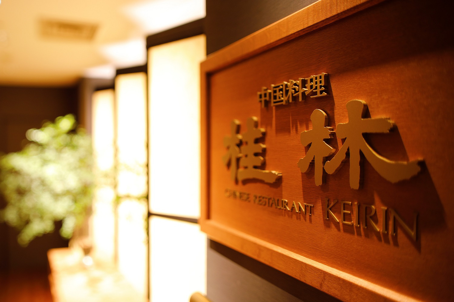 【中国料理　桂林（ホテルニューオウミ）】ペアランチまたはディナー食事券