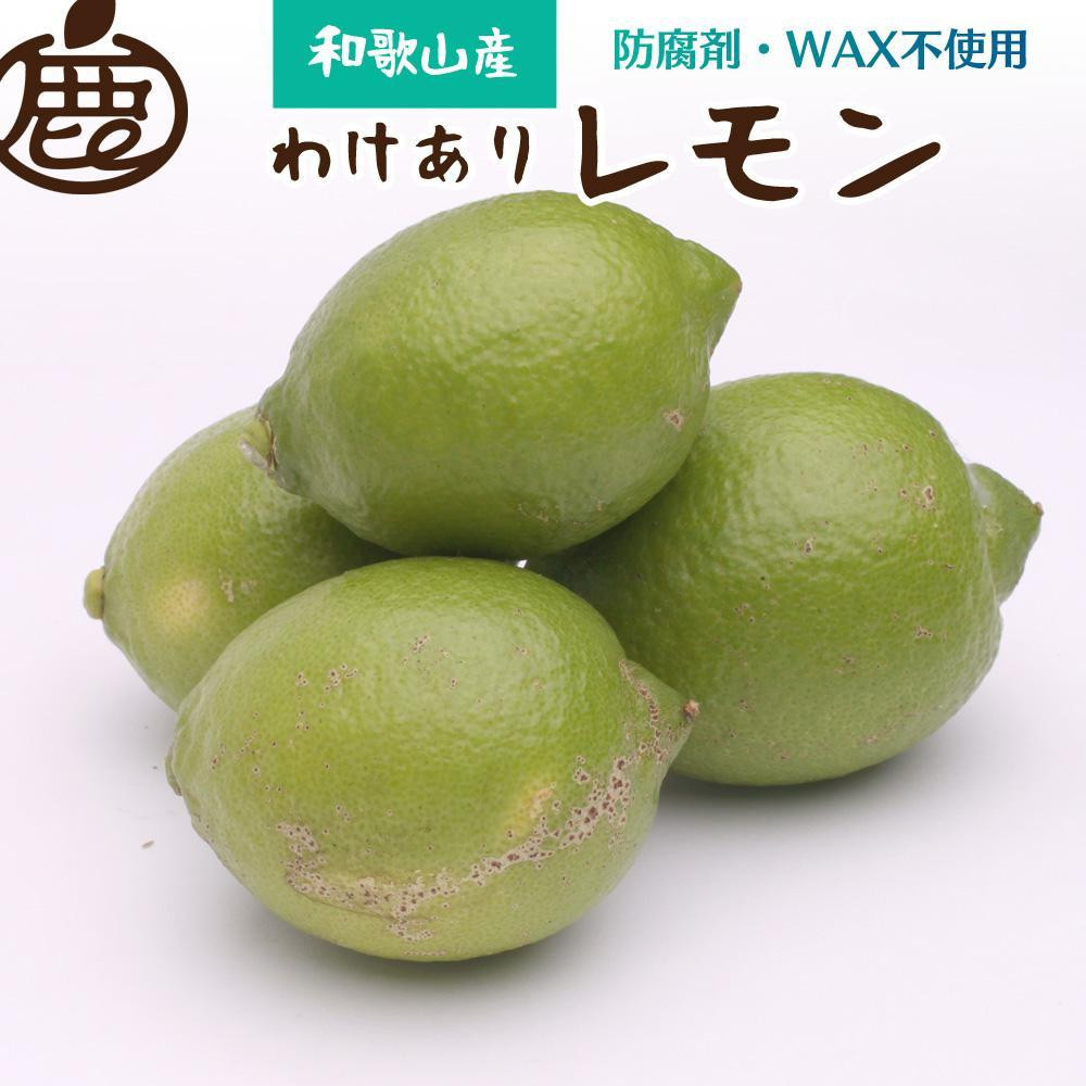 ［先行予約］わけあり&nbsp;レモン10kg+250g（傷み補償分）［和歌山有田産］［防腐剤・WAX不使用、安心の国産レモン］［わけあり・訳ありレモン］