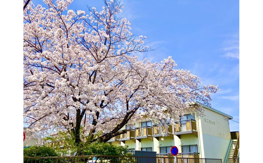 長久手市内での短期入居体験 (1ヶ月)