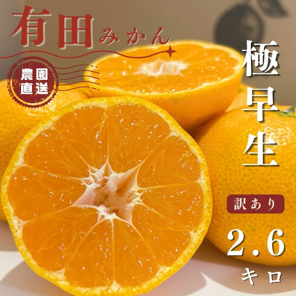 【ふるさと納税】有田みかん&nbsp;極早生&nbsp;2.6kg（箱込み3kg）&nbsp;訳あり&nbsp;S～Lサイズおまかせ&nbsp;&nbsp;【2026年11月発送】&nbsp;柑橘&nbsp;フルーツ&nbsp;みかん&nbsp;産地直送&nbsp;お取り寄せ&nbsp;送料無料