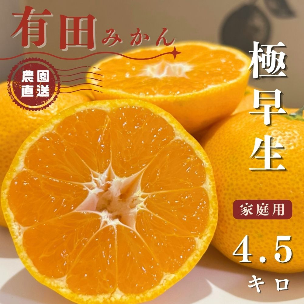【ふるさと納税】有田みかん&nbsp;極早生&nbsp;4.5kg（箱込み5kg）家庭用&nbsp;S～Lサイズ&nbsp;おまかせ【2026年11月発送】柑橘&nbsp;フルーツ&nbsp;みかん&nbsp;産地直送&nbsp;お取り寄せ&nbsp;送料無料