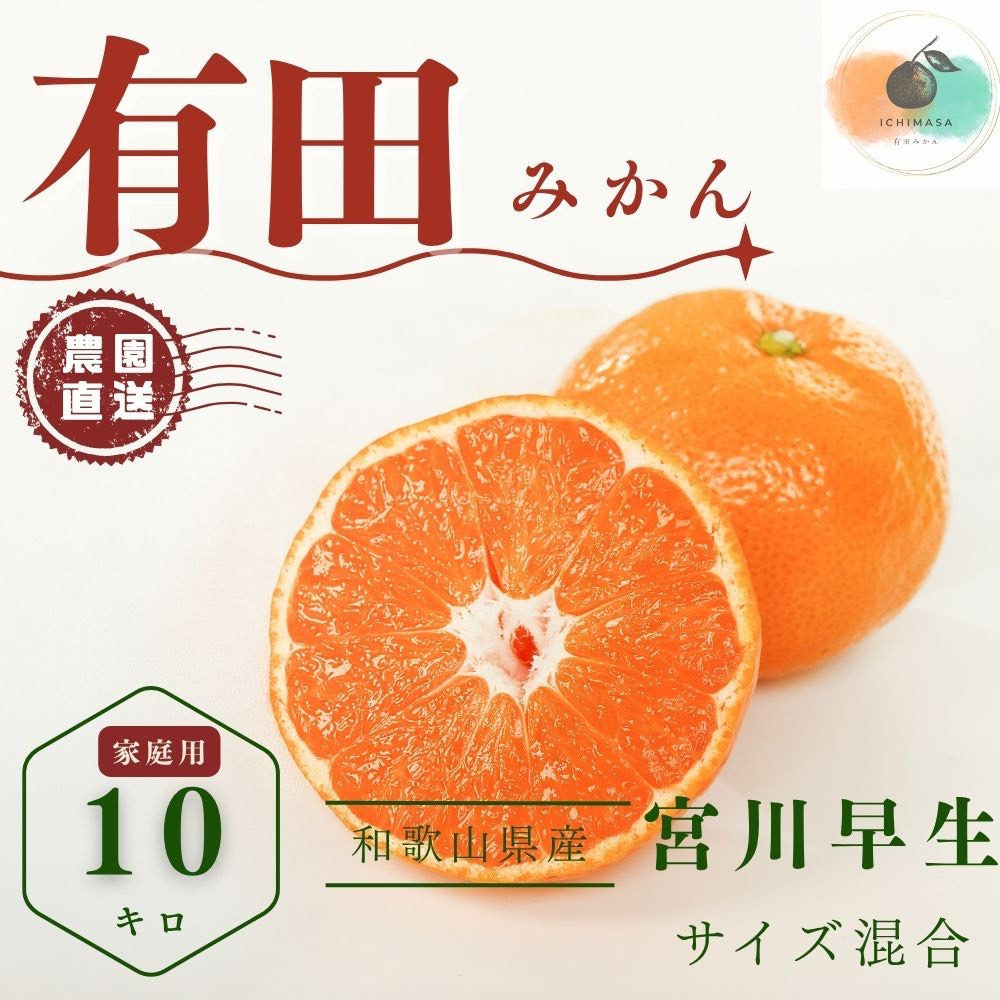 【ふるさと納税】【先行予約】有田みかん&nbsp;早生&nbsp;温州みかん&nbsp;10kg&nbsp;家庭用&nbsp;S～２Lサイズ&nbsp;混合&nbsp;柑橘&nbsp;フルーツ&nbsp;みかん&nbsp;産地直送&nbsp;お取り寄せ&nbsp;送料無料&nbsp;温州ミカン