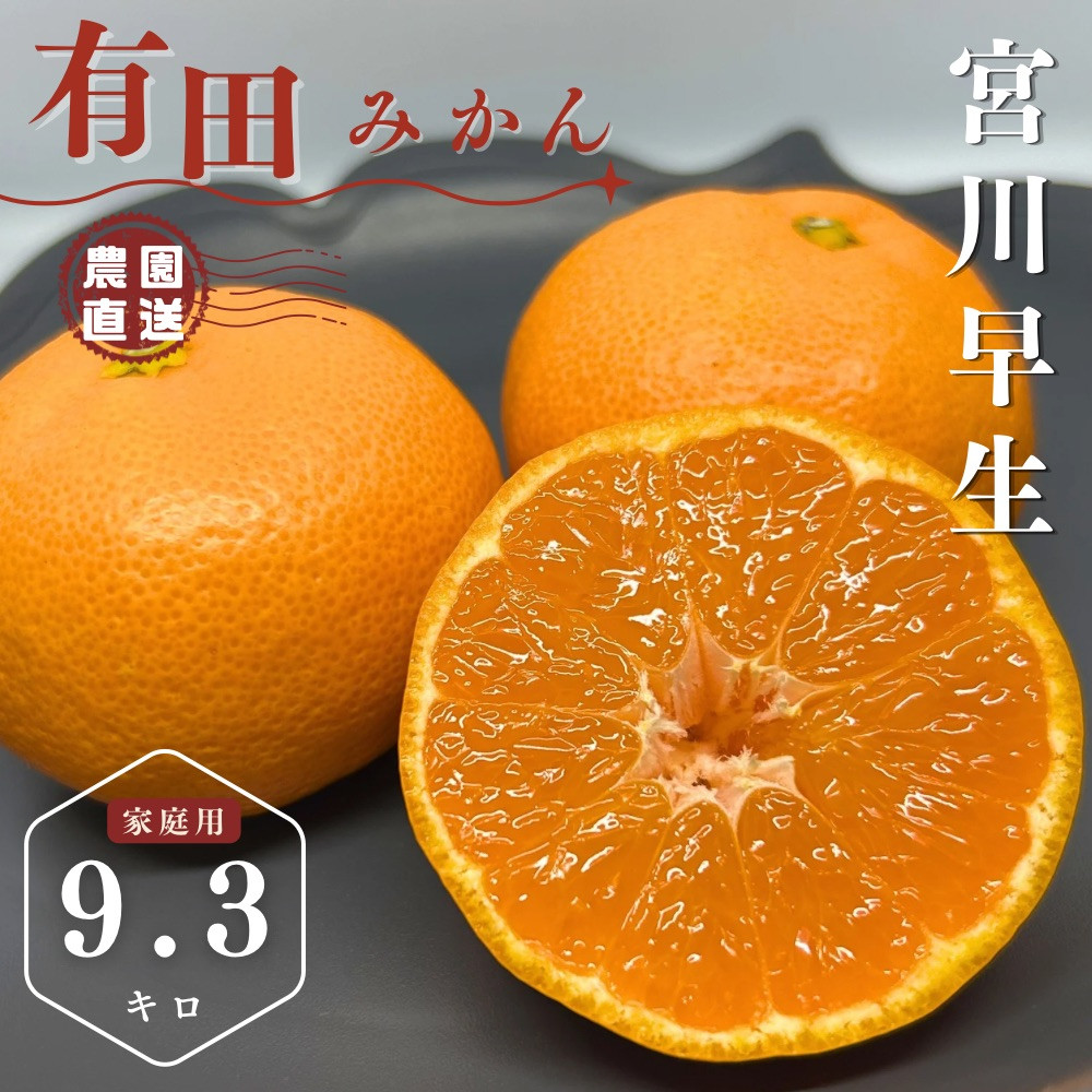【ふるさと納税】【先行予約】有田みかん&nbsp;早生&nbsp;温州みかん&nbsp;9.3kg（箱込み10kg）家庭用&nbsp;S～Lサイズ&nbsp;おまかせ&nbsp;柑橘&nbsp;フルーツ&nbsp;みかん&nbsp;産地直送&nbsp;お取り寄せ&nbsp;送料無料&nbsp;温州ミカン