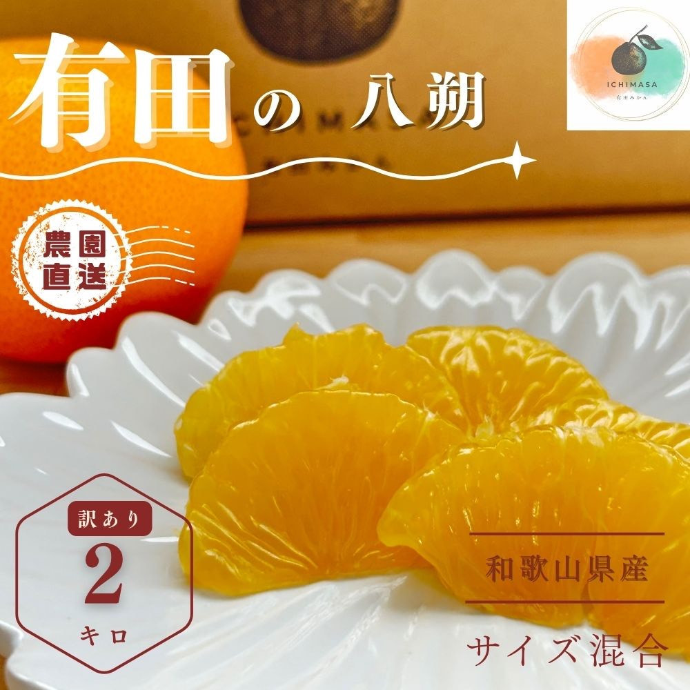 【ふるさと納税】【先行予約】 八朔 2kg 訳あり サイズ混合 柑橘 フルーツ はっさく 産地直送 お取り寄せ 送料無料