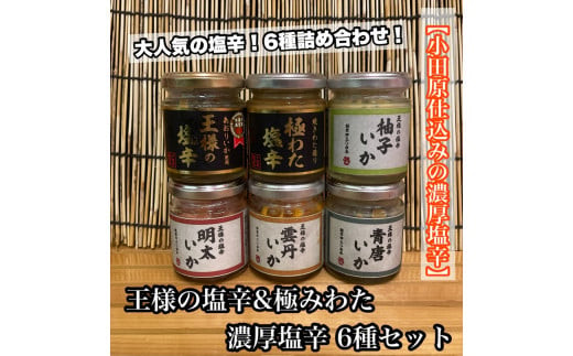 塩辛 瓶詰め 6種セット 各1本【焼きわた 明太子 ゆず 雲丹 青唐】【極みわた】【イカ 塩辛 珍味 おつまみ 惣菜 海鮮 いかの塩辛 珍味 お取り寄せ ギフト 御中元 お中元 お歳暮 父の日 母の日 贈り物 日本酒 焼酎】【神奈川県小田原市早川】