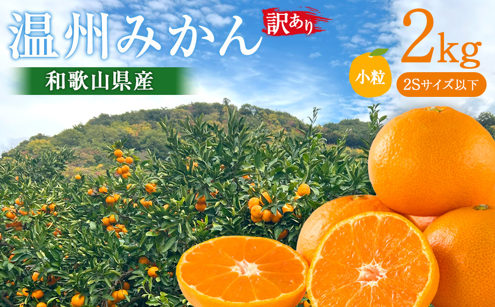 訳あり&nbsp;温州みかん&nbsp;約2kg&nbsp;小粒［2026年11月より順次発送予定］