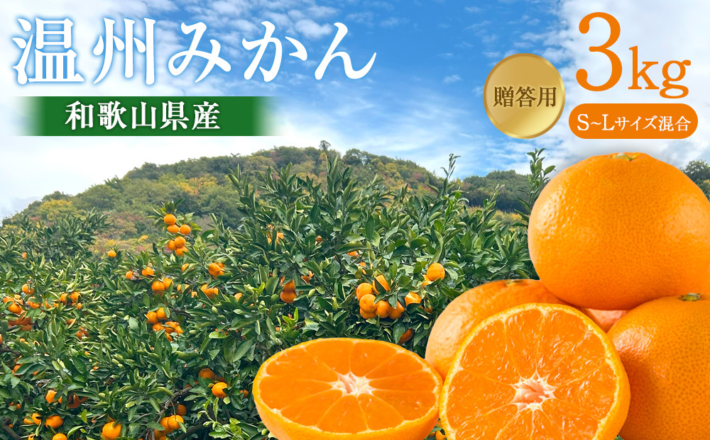 贈答向け&nbsp;温州みかん&nbsp;約3kg&nbsp;S~Lサイズ混合&nbsp;［2026年11月下旬頃から順次発送予定］