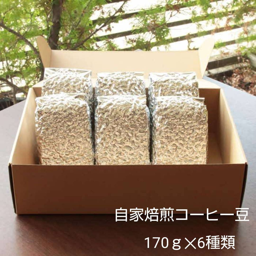 【挽き方：豆】お家でカフェ♪アメリカンスペシャリティ認定豆170ｇ×6袋