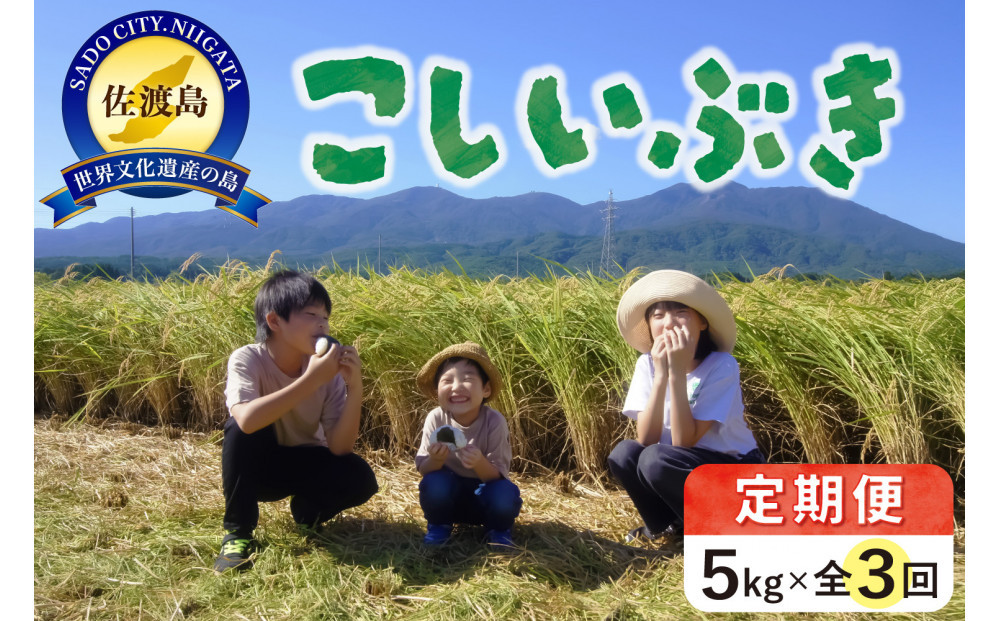 米&nbsp;定期便&nbsp;佐渡島産&nbsp;こしいぶき&nbsp;(&nbsp;5kg&nbsp;×&nbsp;全3回&nbsp;)&nbsp;【令和7年産】令和7年9月下旬以降順次発送予定