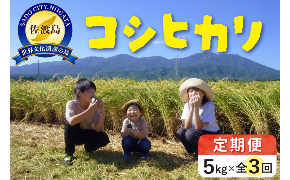 米&nbsp;定期便&nbsp;佐渡島産&nbsp;コシヒカリ&nbsp;(&nbsp;5kg&nbsp;×&nbsp;全3回&nbsp;)&nbsp;【令和7年産】令和7年10月上旬以降順次発送予定