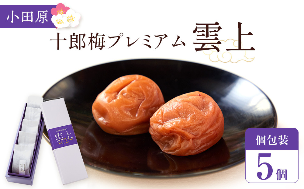 【小田原のブランド梅の大粒梅干し】雲上５個入り【&nbsp;梅干し&nbsp;神奈川県&nbsp;小田原市&nbsp;】