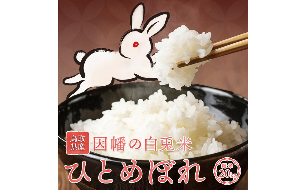 【令和7年度産】因幡の白兎米&nbsp;ひとめぼれ&nbsp;精米済&nbsp;20kg&nbsp;(&nbsp;5kg×4袋&nbsp;)