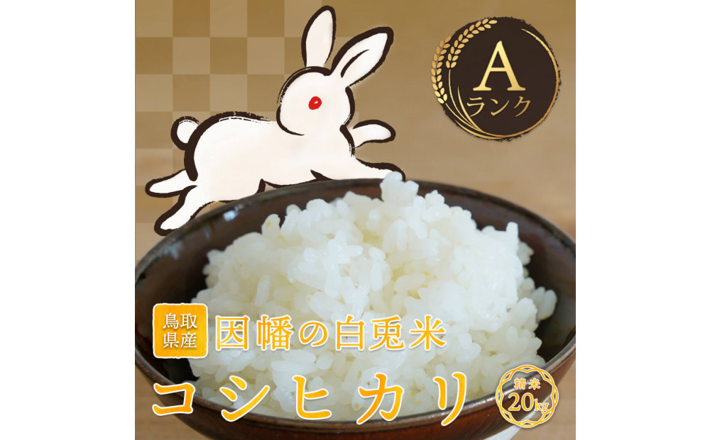 【令和7年度産】因幡の白兎米&nbsp;コシヒカリ&nbsp;精米済&nbsp;20kg&nbsp;(&nbsp;5kg×4袋&nbsp;)