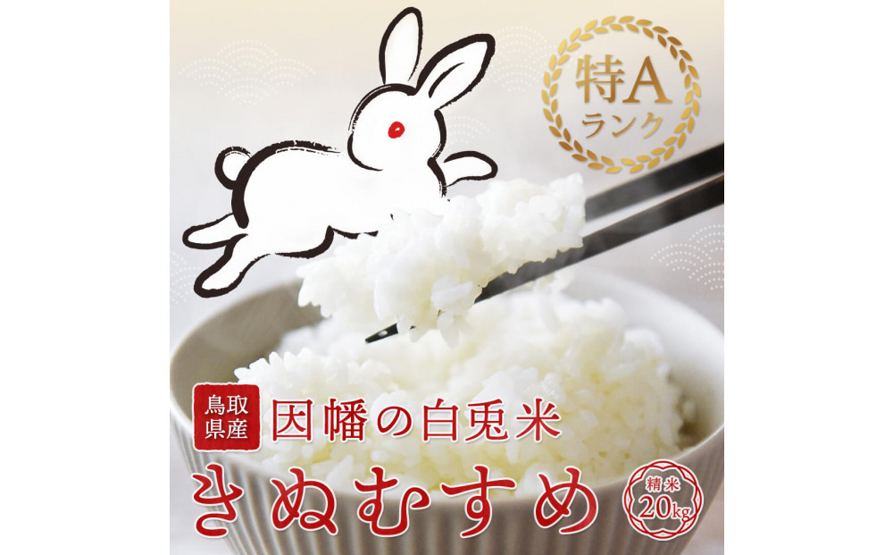 【令和7年度産】因幡の白兎米&nbsp;きぬむすめ&nbsp;精米済&nbsp;20kg&nbsp;(&nbsp;5kg×4袋&nbsp;)