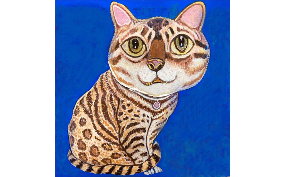 アーティストが描く愛しいペットのポートレート ドローイング