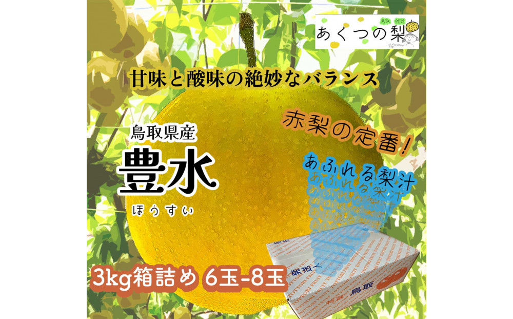 豊水梨&nbsp;3kg箱詰め(鳥取県佐治町産)&nbsp;[あくつの梨]