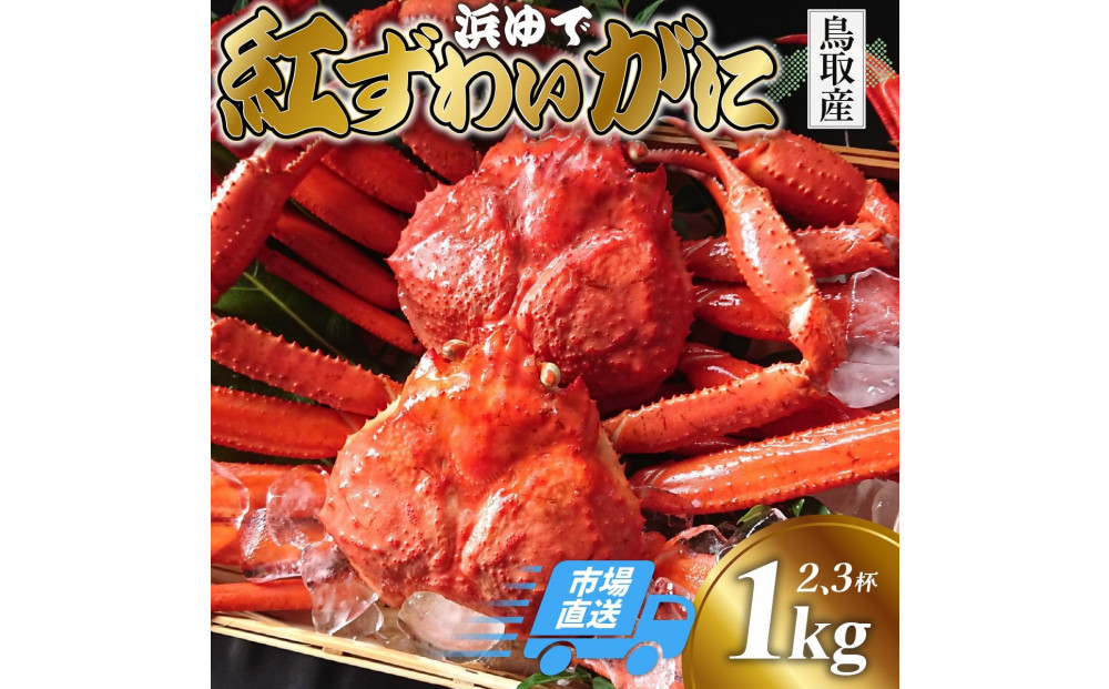 鳥取から直送！ 釜茹で 紅ズワイガニ1kg(2～3杯) 未冷凍【ボイル】