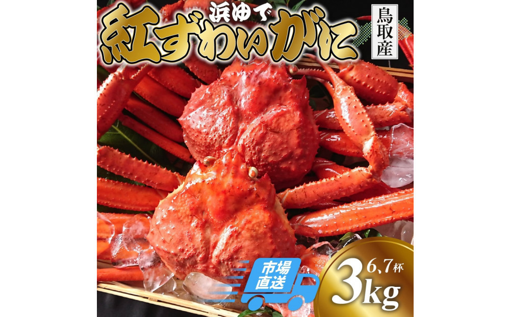鳥取から直送！ 釜茹で 紅ズワイガニ3kg(6～7杯) 未冷凍【ボイル】