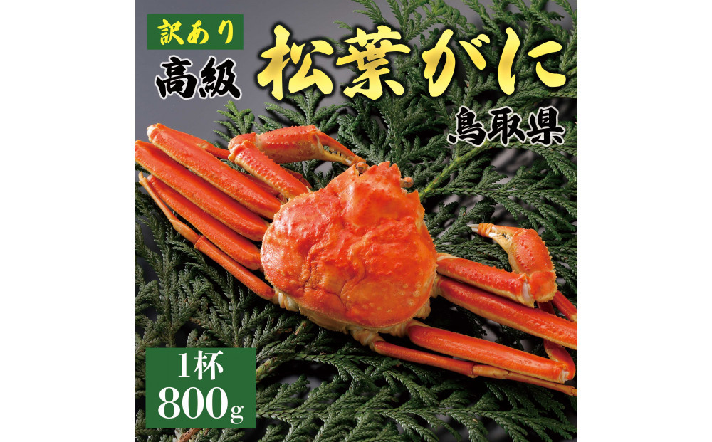 1047.【2025年12月～2026年1月発送】特撰&nbsp;松葉がに（茹）【訳あり】800g超の大きいサイズ&nbsp;食べ応えあり&nbsp;特大1杯
