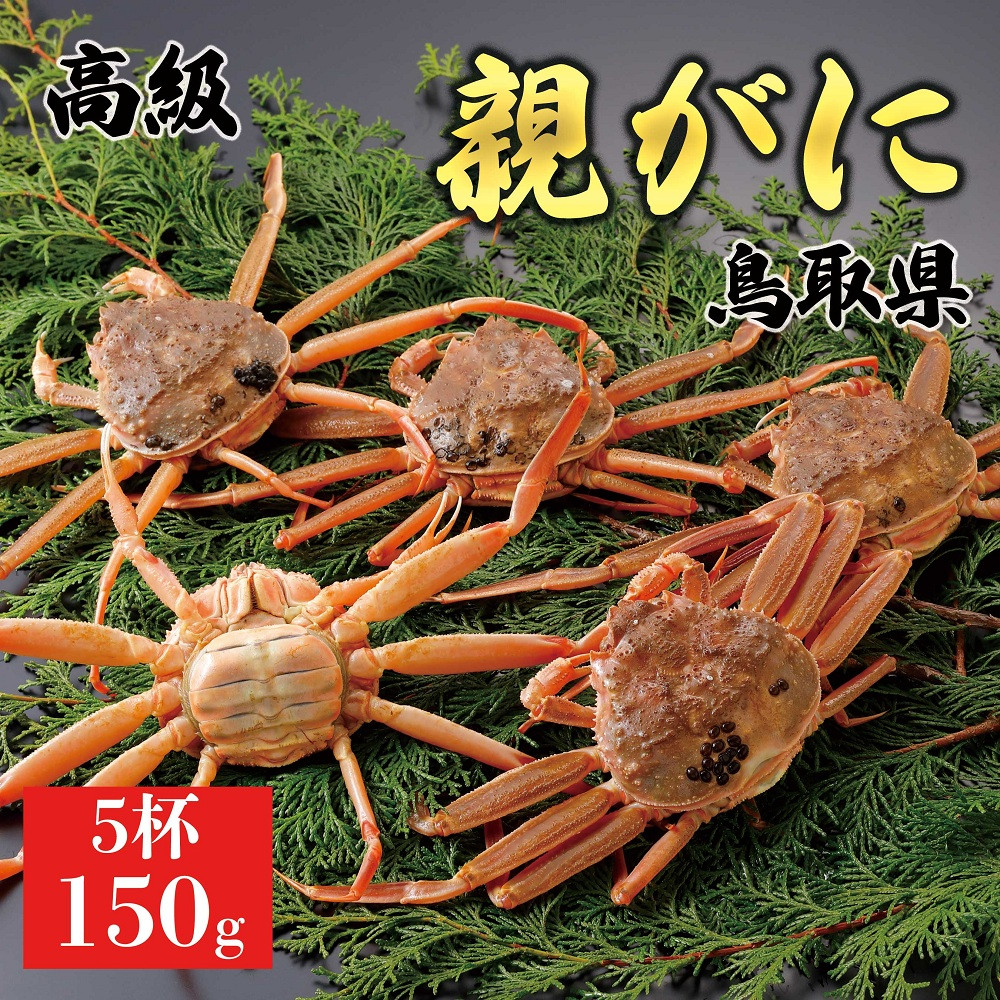 1062.【2025年12月発送】鳥取県産&nbsp;特撰&nbsp;親がに&nbsp;姿【セコガニ】（なま）150g　5杯