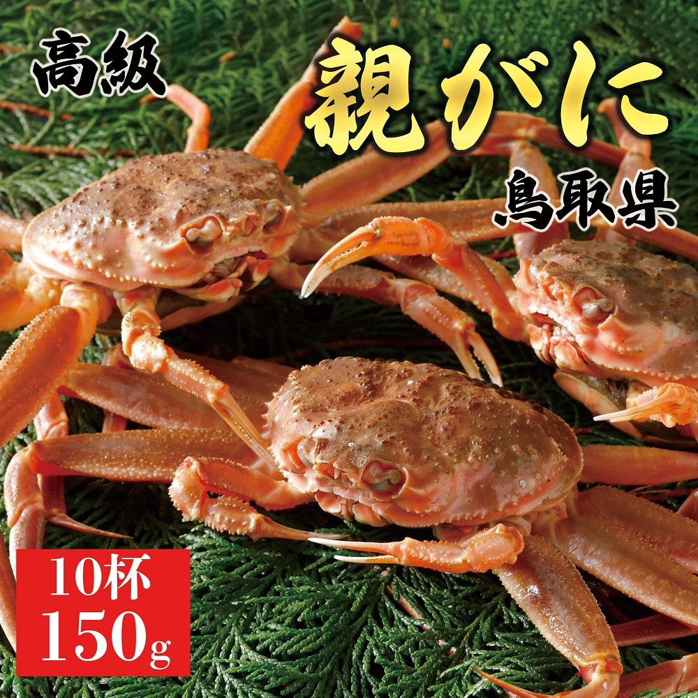 1064.【2025年12月発送】鳥取県産&nbsp;特撰&nbsp;親がに&nbsp;姿【セコガニ】（なま）150g　10杯