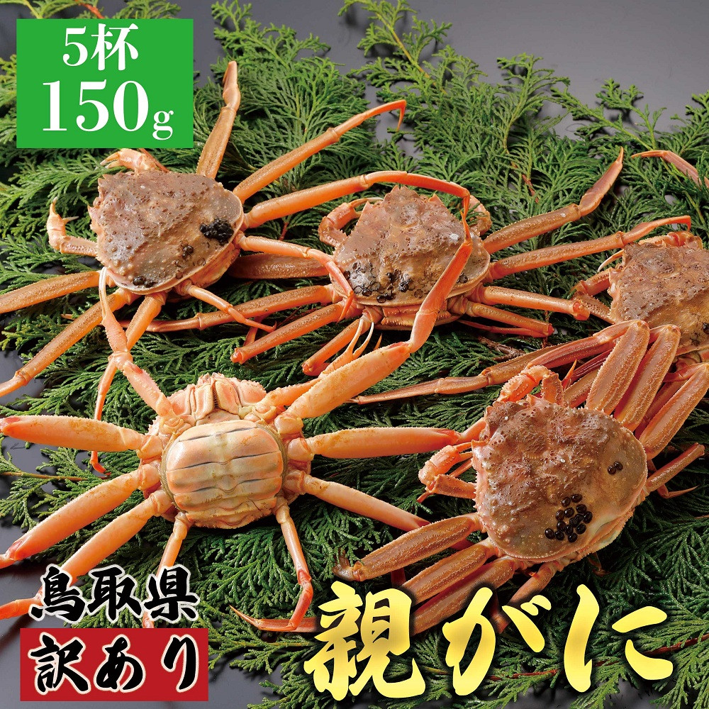 1068.【2025年12月発送】鳥取県産&nbsp;特撰&nbsp;親がに&nbsp;姿【セコガニ】（なま）【訳あり】150g&nbsp;5杯