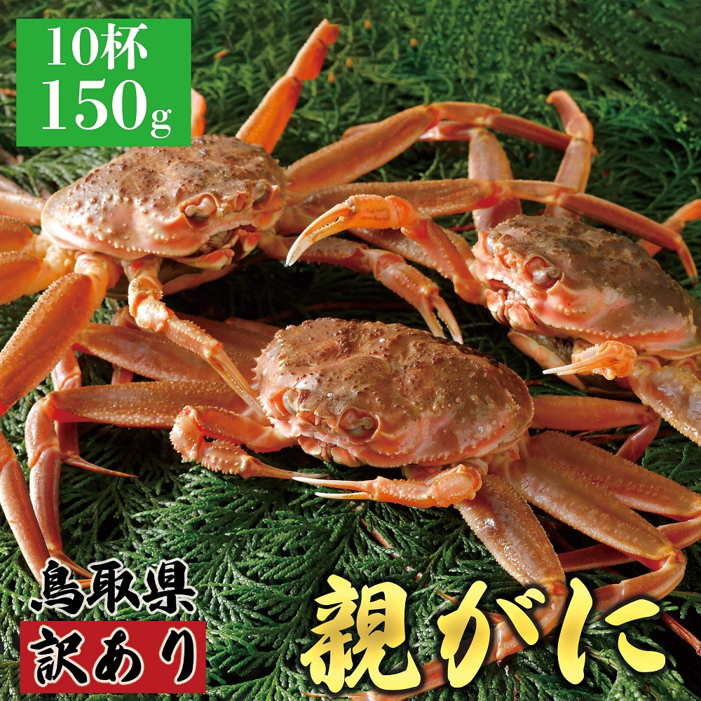 1070.【2025年12月発送】鳥取県産&nbsp;特撰&nbsp;親がに&nbsp;姿【セコガニ】（なま）【訳あり】150g&nbsp;10杯