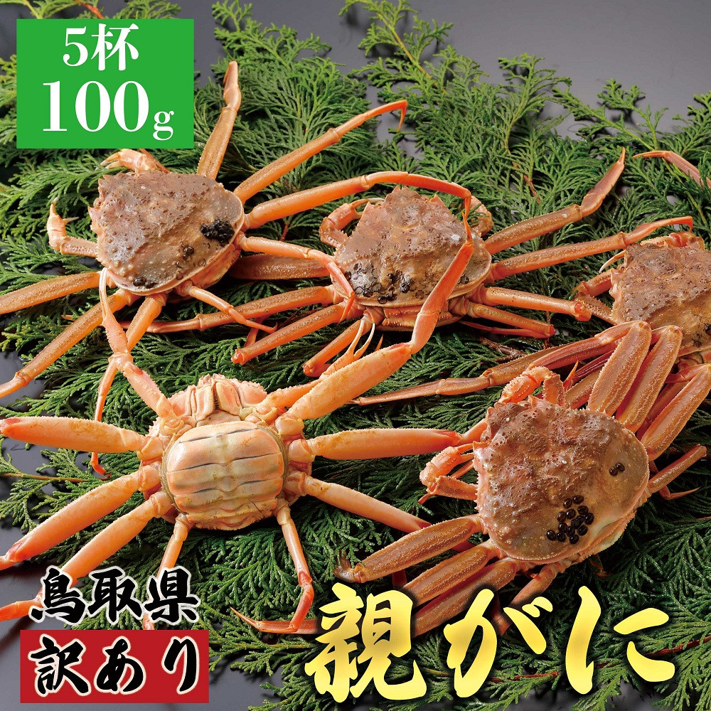 1071.【2025年12月発送】鳥取県産&nbsp;特撰&nbsp;親がに&nbsp;姿【セコガニ】（なま）【訳あり】100g&nbsp;5杯