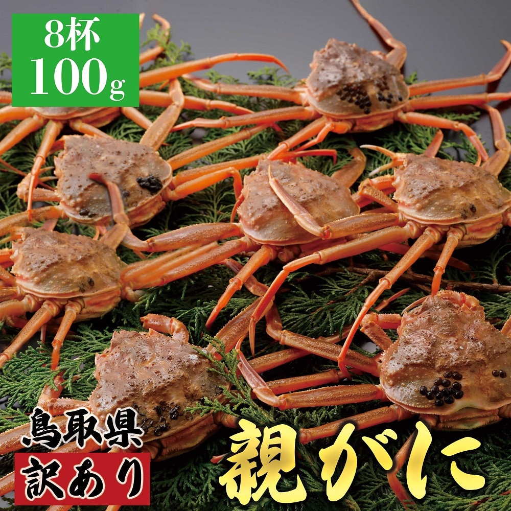 1072.【2025年12月発送】鳥取県産&nbsp;特撰&nbsp;親がに&nbsp;姿【セコガニ】（なま）【訳あり】100g&nbsp;8杯