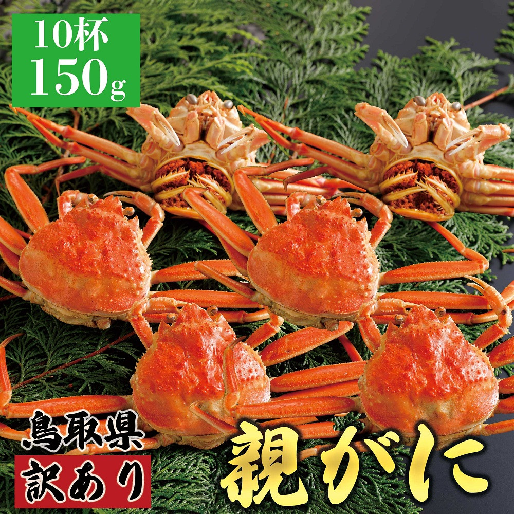 1070.【2025年12月発送】鳥取県産&nbsp;特撰&nbsp;親がに&nbsp;姿【セコガニ】（茹）【訳あり】150g&nbsp;10杯